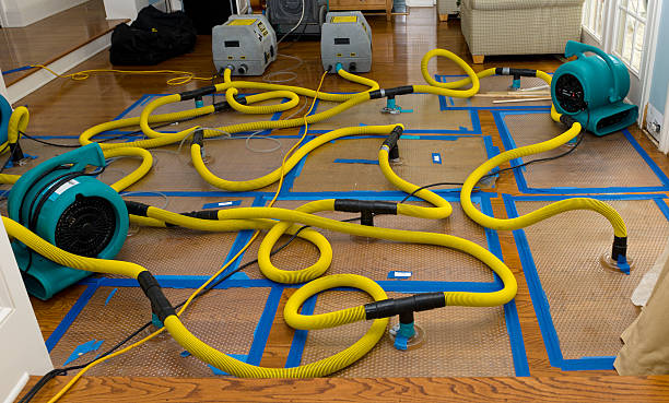Professional Storm Water Damage Restoration technician working in Ivanhoe, TX