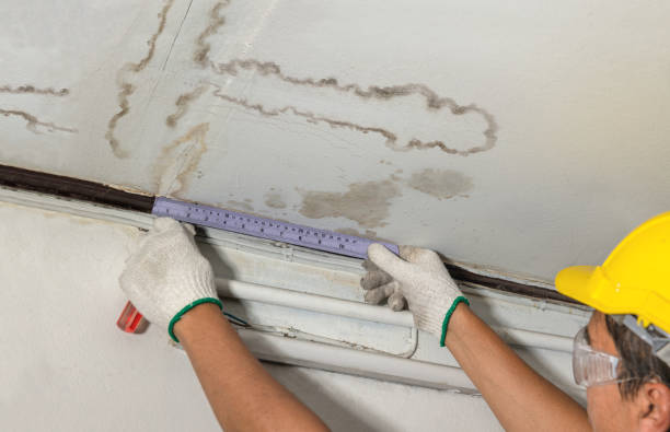 Affordable Water Damage Repair solutions in Ivanhoe, TX